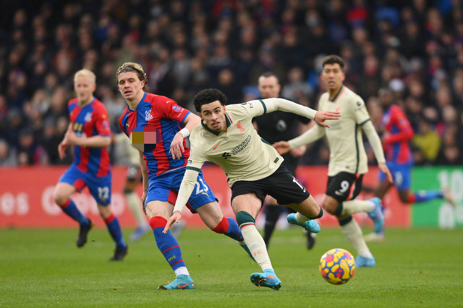 实时反馈学 实时反馈学